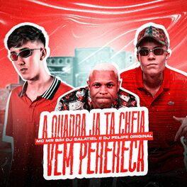 Album cover of A Quadra Já Tá Cheia / Vem Perereca
