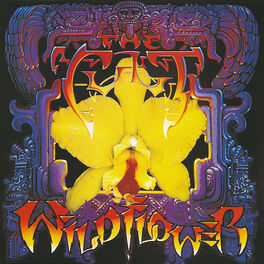 Album cover of Wild Flower