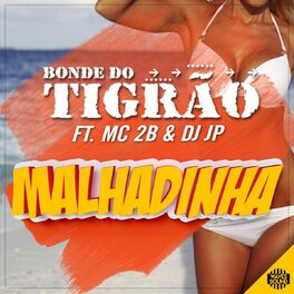 Album cover of Malhadinha