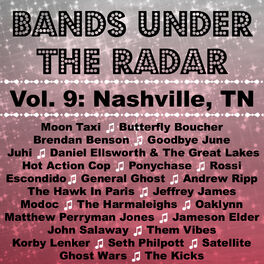 Album cover of Bands Under the Radar, Vol. 9: Nashville, Tn