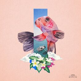Album cover of goldfish