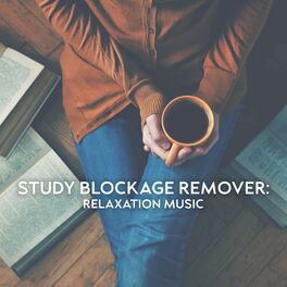 Album cover of Study Blockage Remover: Relaxation Music for Study Motivation
