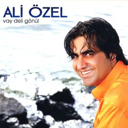 Album cover of Vay Deli Gönül