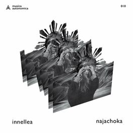 Album cover of Najachoka
