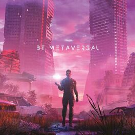 Album cover of Metaversal