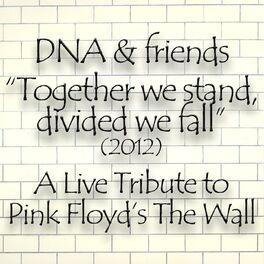 Album cover of DNA & Friends Present a Live Tribute to Pink Floyd's The Wall 2012 (Together We Stand, Divided We Fall)