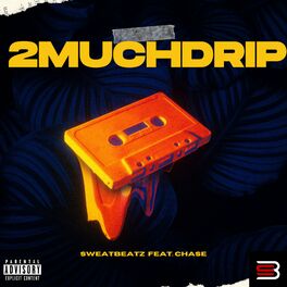 Album cover of 2MUCHDRIP