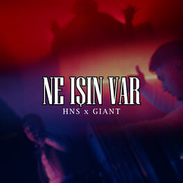 Album cover of Ne İşin Var