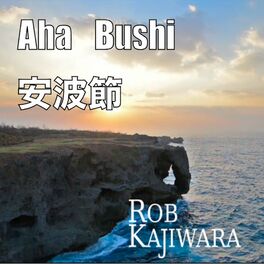 Album cover of Aha Bushi