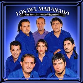 Album cover of Un Sentimiento Vigente