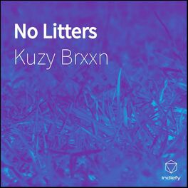 Album cover of No Litters