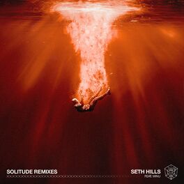 Album cover of Solitude (Remixes)
