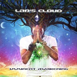 Album cover of Imminent Awakening