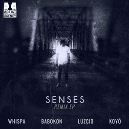 Album cover of Senses (Remixes) - EP