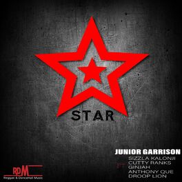 Album cover of Star (feat. Sizzla Kalonji, Cutty Ranks, Ginjah, Anthony Que & Droop Lion)