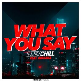 Album cover of What You Say (feat. Indiiana)