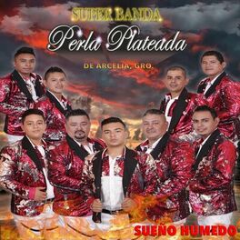 Album cover of Sueño Humedo