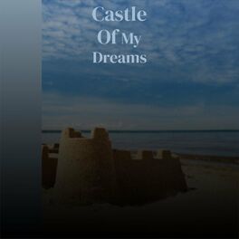 Album cover of Castle Of My Dreams