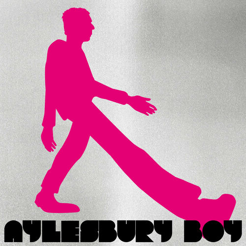 Baxter Dury Aylesbury Boy lyrics and songs Deezer