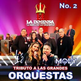 Album cover of Tributo a las Grandes Orquestas, No. 2