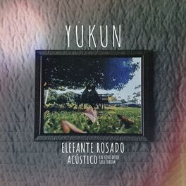 Album cover of Elefante Rosado (Acústico En Vivo)