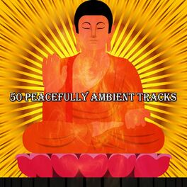 Album cover of 50 Peacefully Ambient Tracks