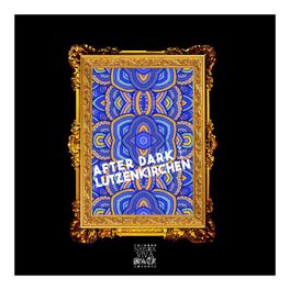 Album cover of After Dark (Selected and Mixed by Lutzenkirchen)