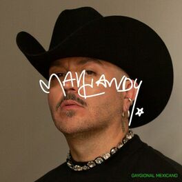 Album cover of Gaygional Mexicano