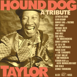 Album cover of Hound Dog Taylor: A Tribute
