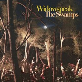 Album cover of The Swamps