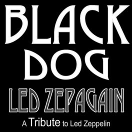 Album cover of Black Dog