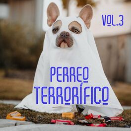 Album cover of Perreo Terrorífico Vol. 3