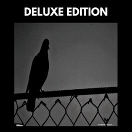 Album cover of Saliva (Deluxe Edition)