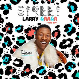 Album cover of Street Larry Gaaga (The EP)