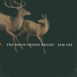 Album cover of The Moon Shines Bright