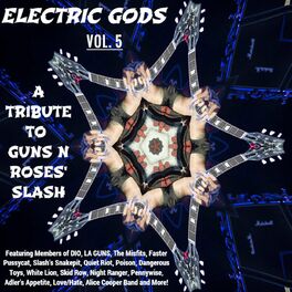 Album cover of Electric Gods Series Vol. 4 - A Tribute To Guns N Roses' Slash