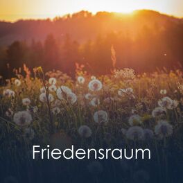 Album cover of Friedensraum