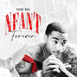 Album cover of Nfant Forever