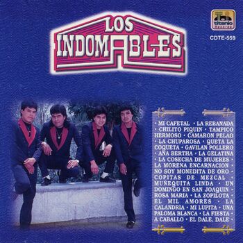 Los Indomables - Muñequita Linda: Canción con letra | Deezer