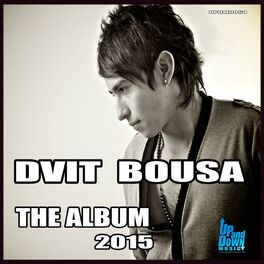 Album cover of Dvit Bousa - The Album 2015