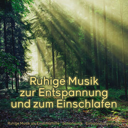 Album cover of Ruhige Musik zur Entspannung und zum Einschlafen