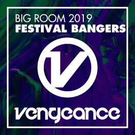 Album cover of Big Room 2019 - Festival Bangers