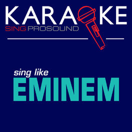 Album cover of Karaoke in the Style of Eminem