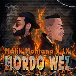 Album cover of Mordo Wez