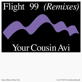 Album cover of Flight 99 (Your Cousin Avi Remix)