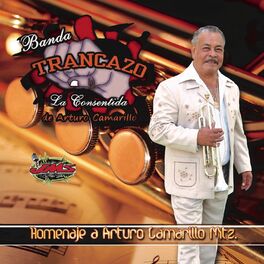 Album cover of Homenaje a Arturo Camarillo Mtz.