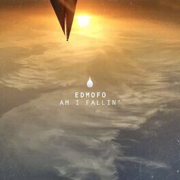 Album cover of Am I Fallin'