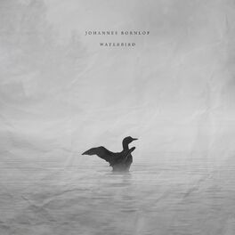 Album cover of Waterbird