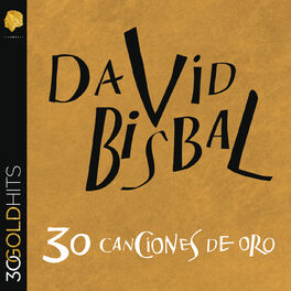 Album cover of David Bisbal 30 Canciones De Oro