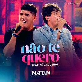 Album cover of Não Te Quero